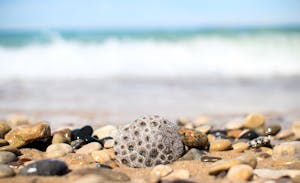 Gray and Brown Pebbles Near Sea